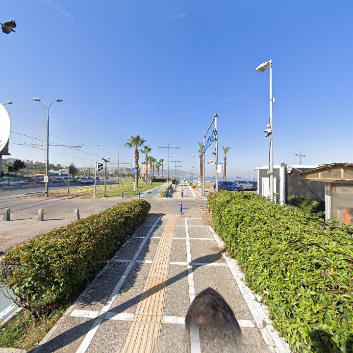 Fotoğraf 15