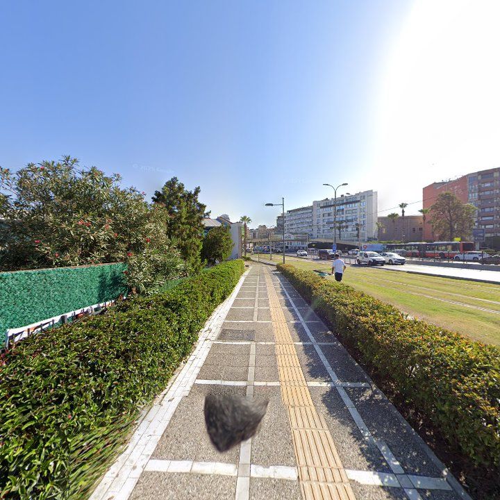 Fotoğraf 13