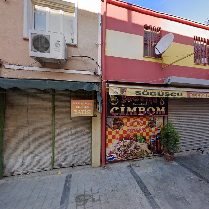 Fotoğraf 12