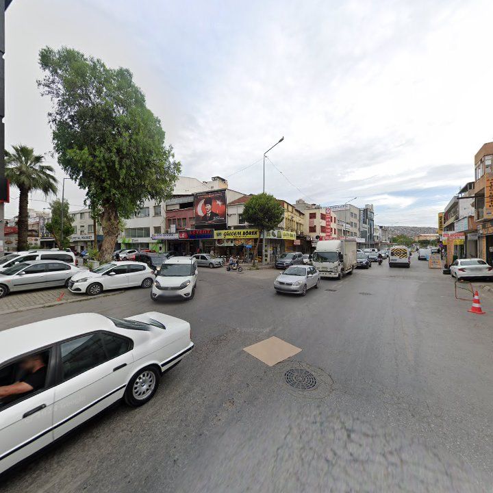 Fotoğraf 7