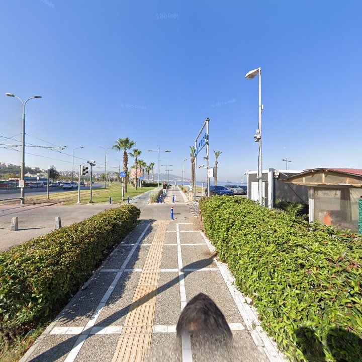 Fotoğraf 12