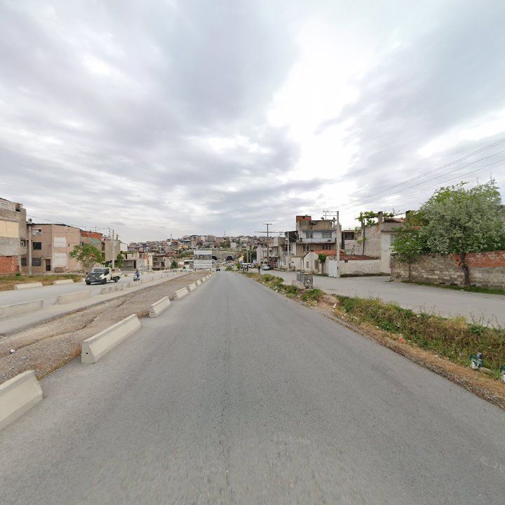 Fotoğraf 8