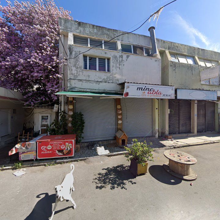 Fotoğraf 7
