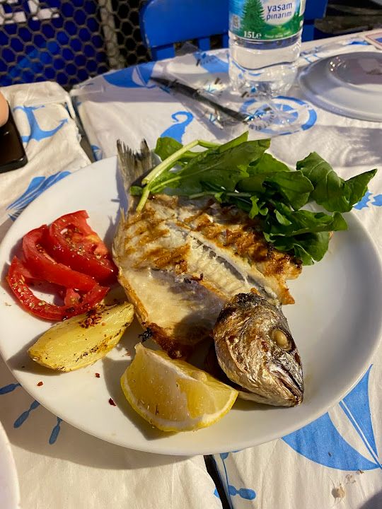 Fotoğraf 7