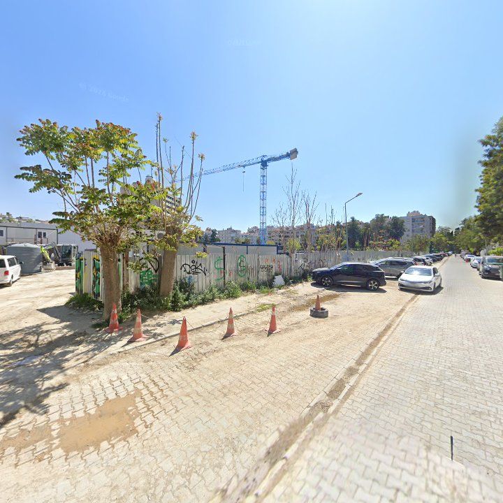 Fotoğraf 11