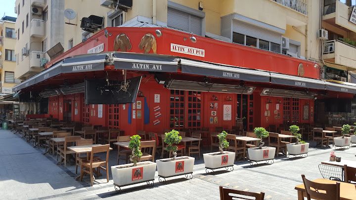Altın ayı