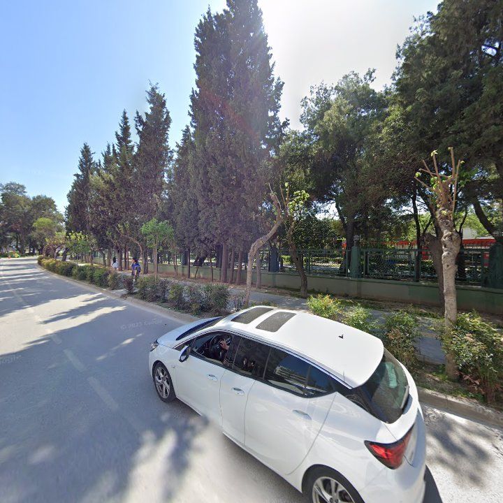Fotoğraf 10