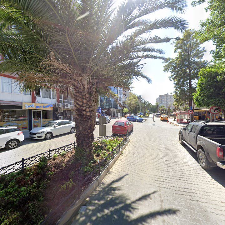 Fotoğraf 11