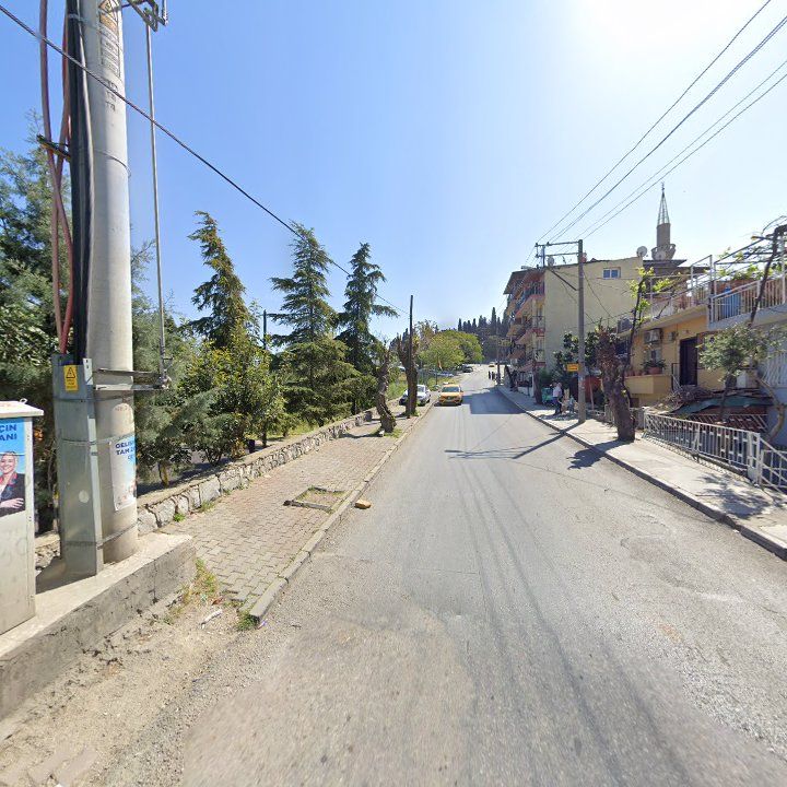 Fotoğraf 6