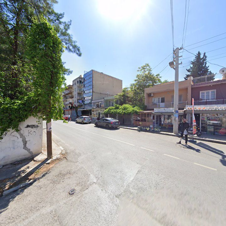 Fotoğraf 8