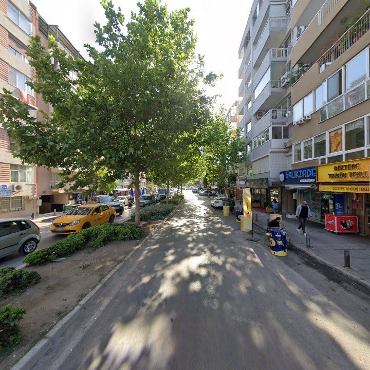 Fotoğraf 12