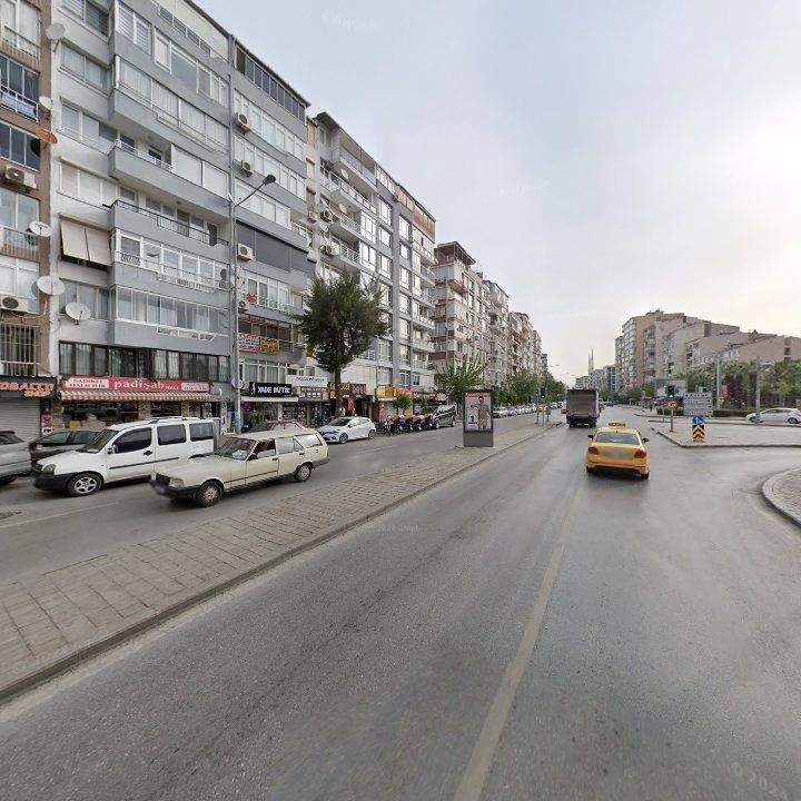 Fotoğraf 7