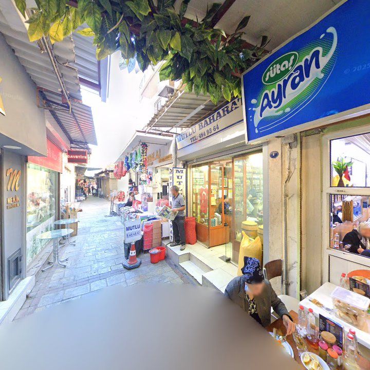 Fotoğraf 15