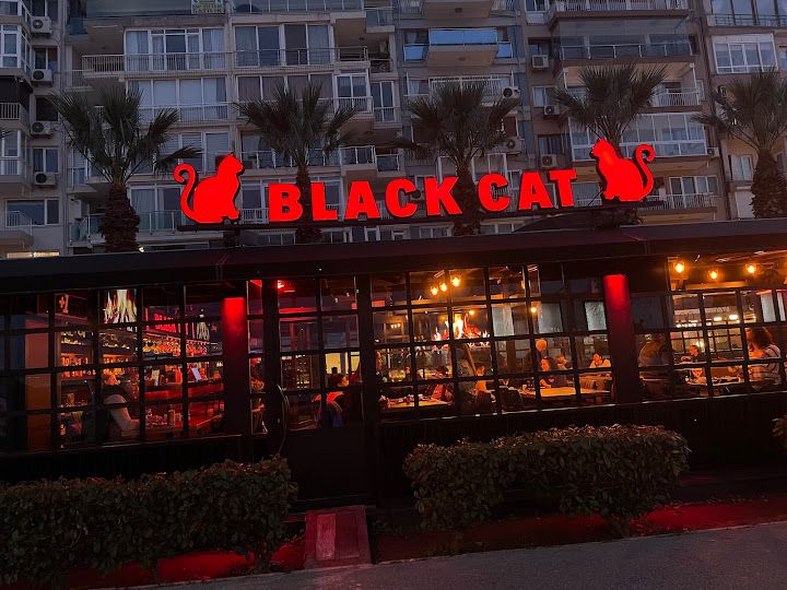 Black Cat