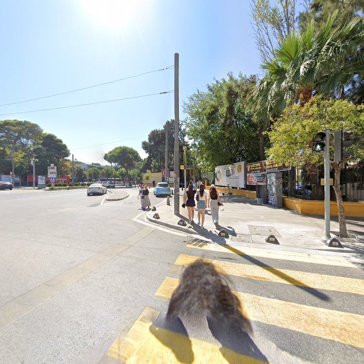 Fotoğraf 11