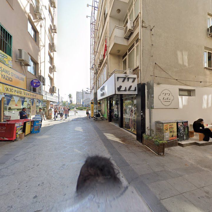 Fotoğraf 10
