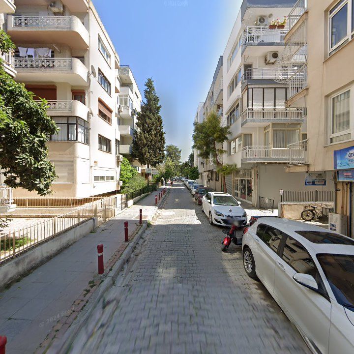 Fotoğraf 12