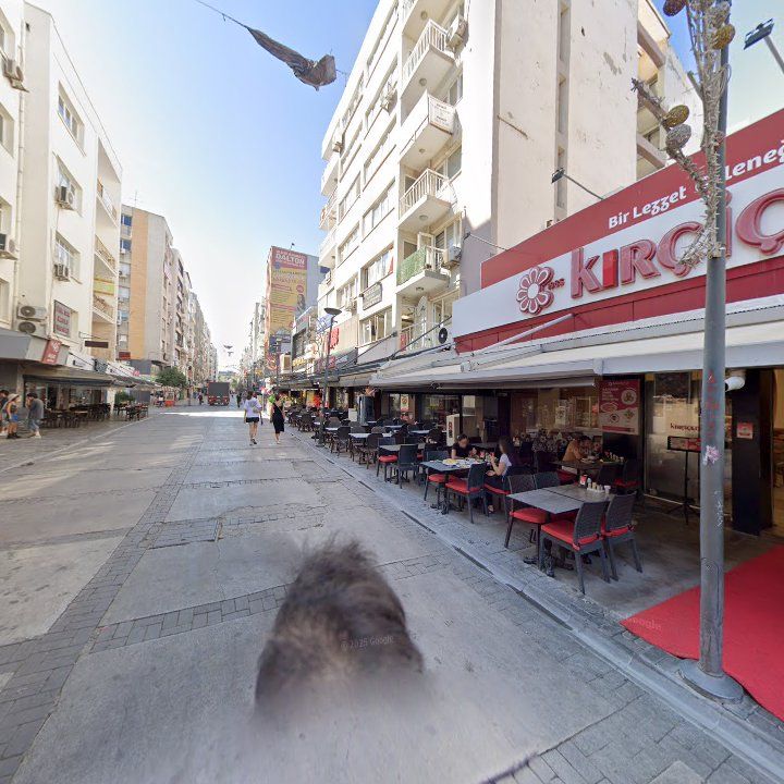 Fotoğraf 13