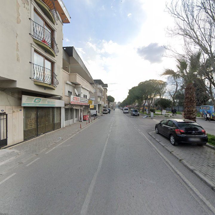 Fotoğraf 3
