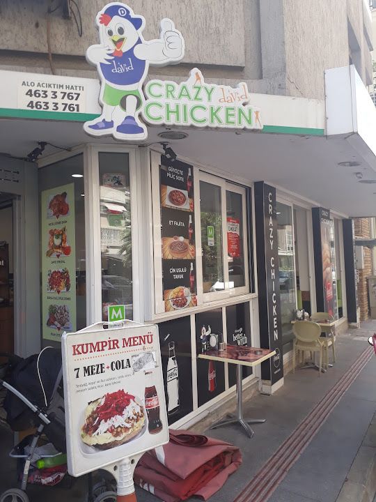 Crazy chicken