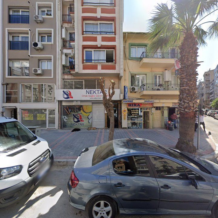 Fotoğraf 9