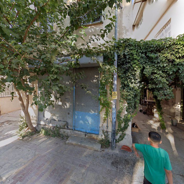 Fotoğraf 8