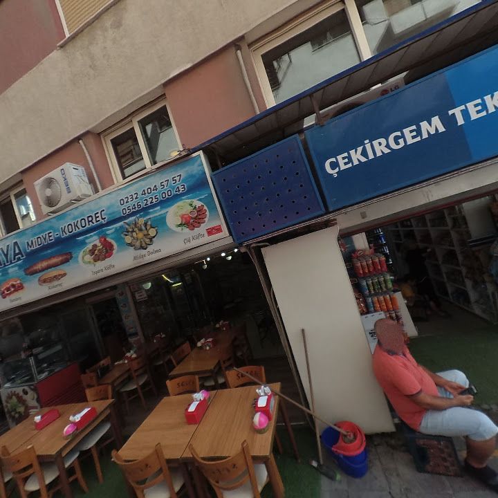 Fotoğraf 7