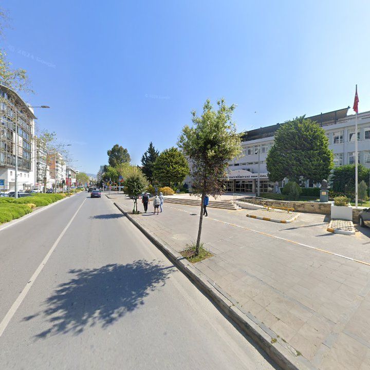 Fotoğraf 8