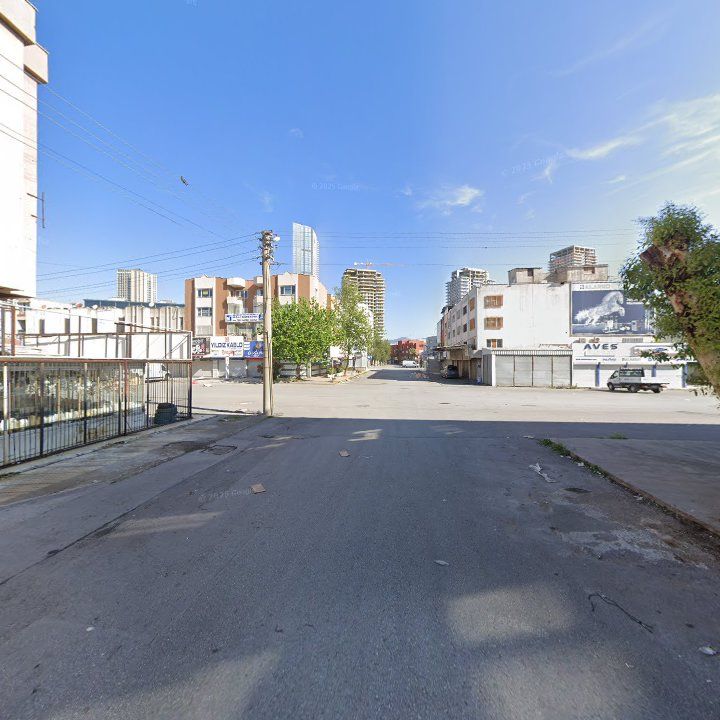 Fotoğraf 13