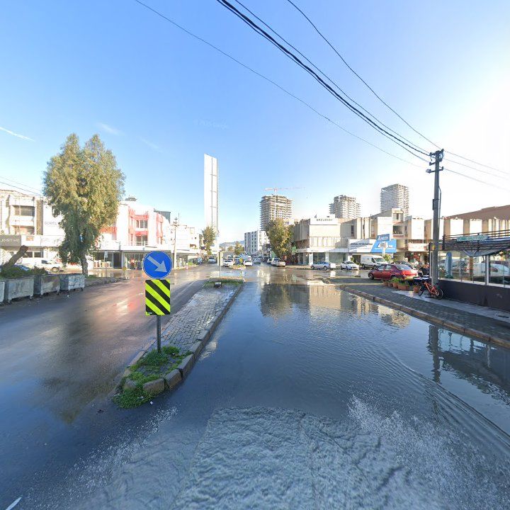 Fotoğraf 12