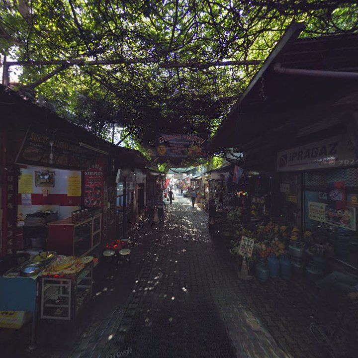 Fotoğraf 10