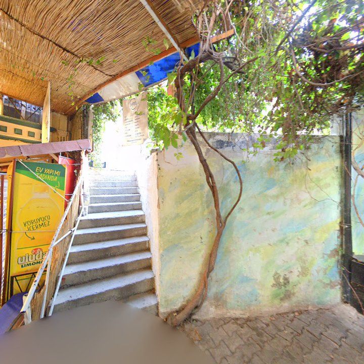 Fotoğraf 10