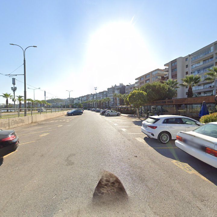 Fotoğraf 8