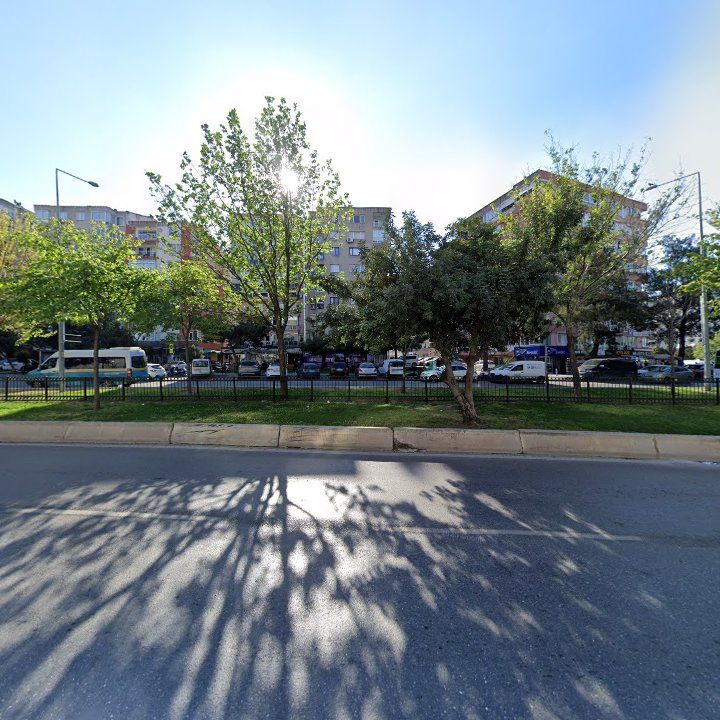 Fotoğraf 7