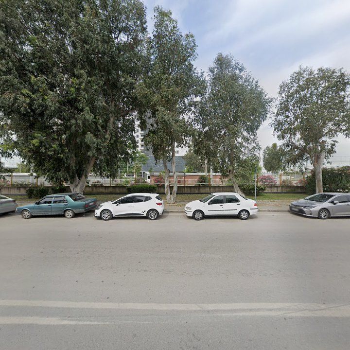 Fotoğraf 7