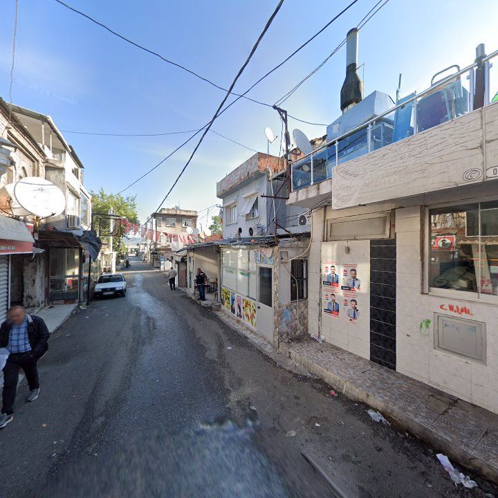 Fotoğraf 6