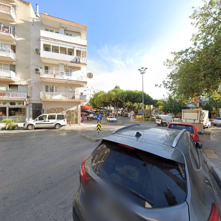 Fotoğraf 7