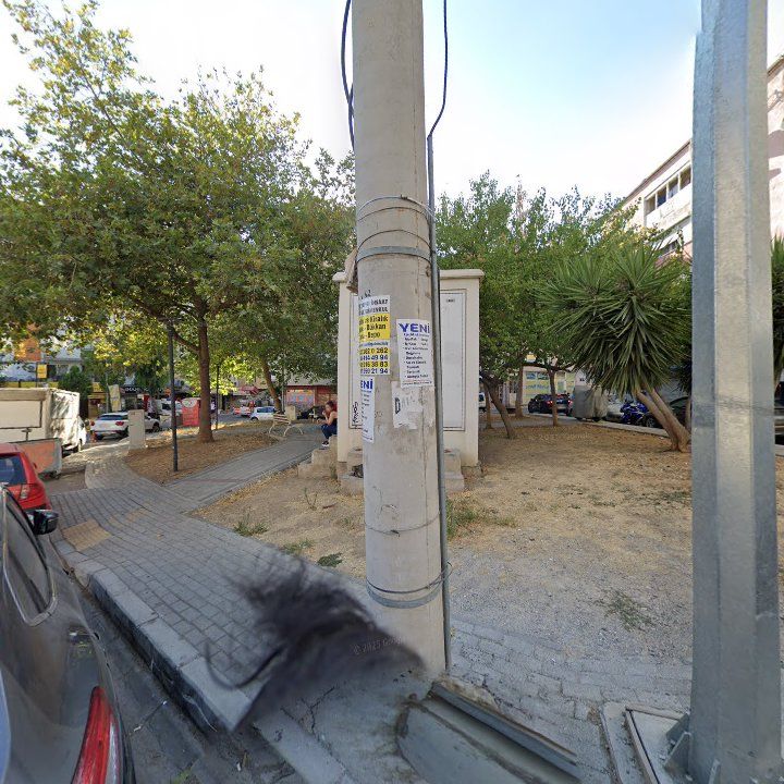 Fotoğraf 8