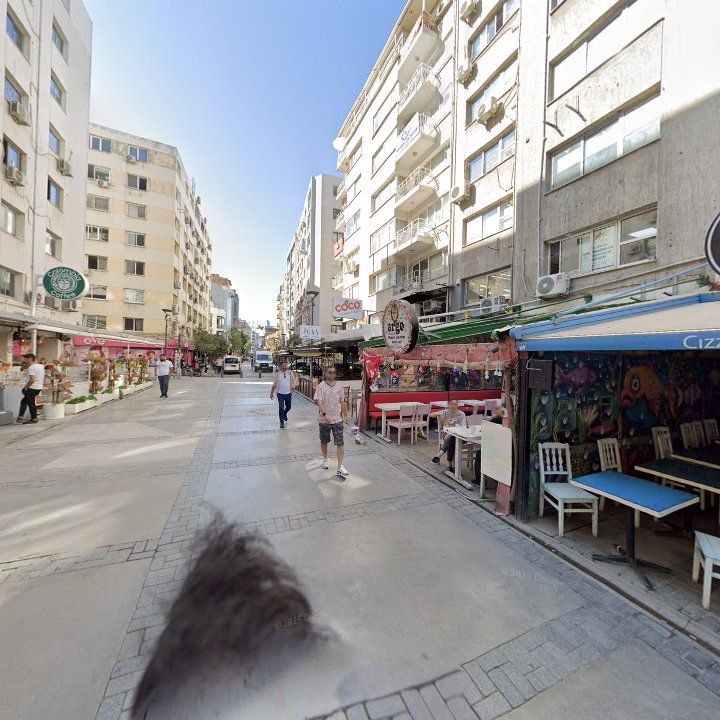 Fotoğraf 11