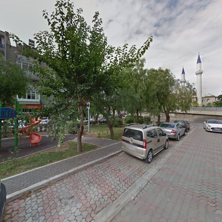 Fotoğraf 8