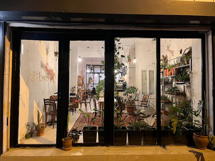 Hoi coffee and plants