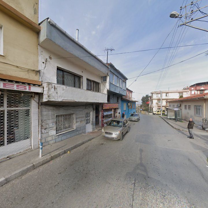 Fotoğraf 7