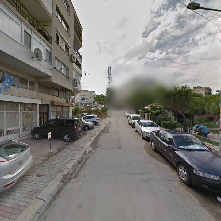 Fotoğraf 7