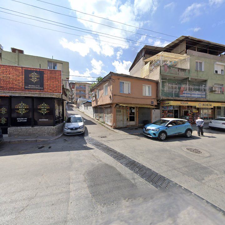 Fotoğraf 3