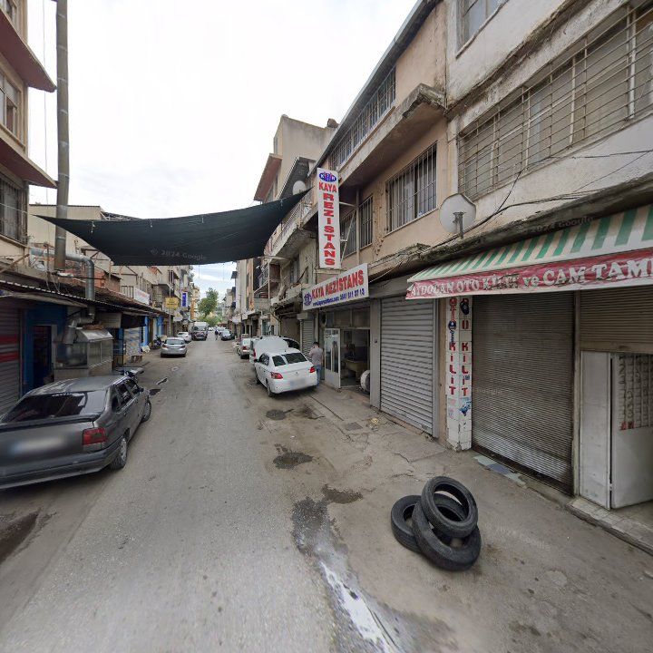 Fotoğraf 7