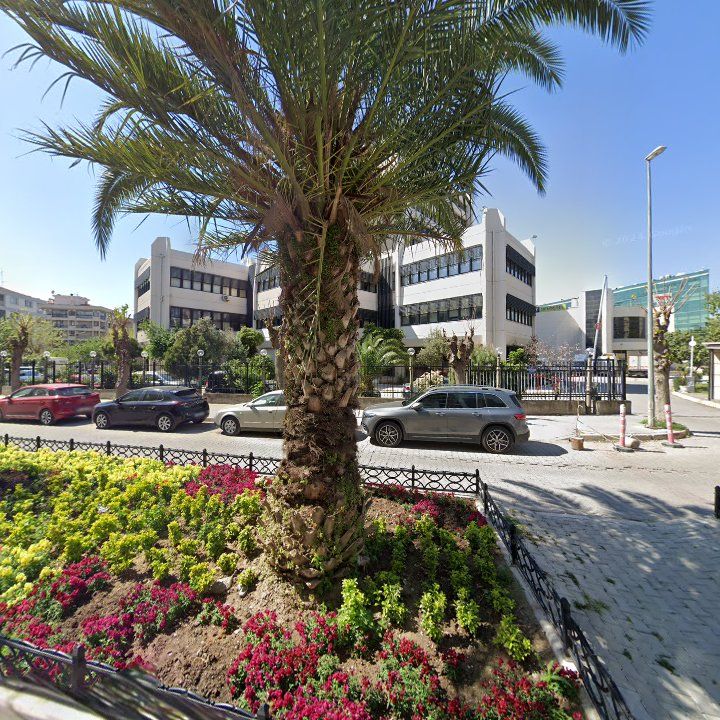 Fotoğraf 13