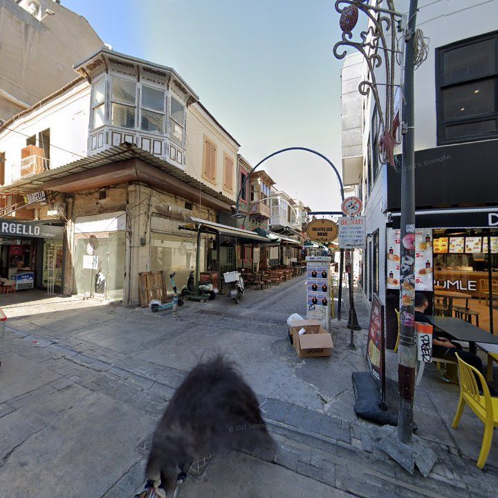 Fotoğraf 12