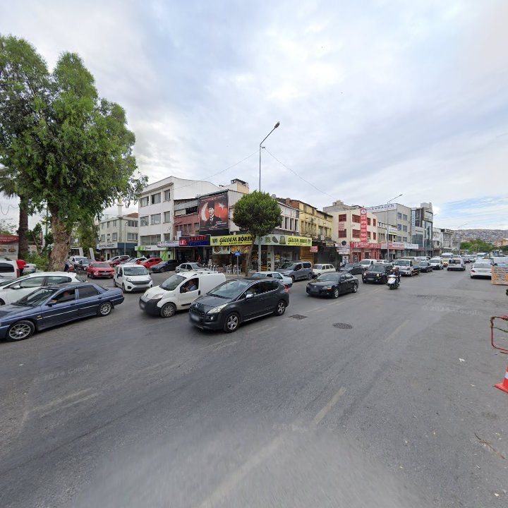 Fotoğraf 10