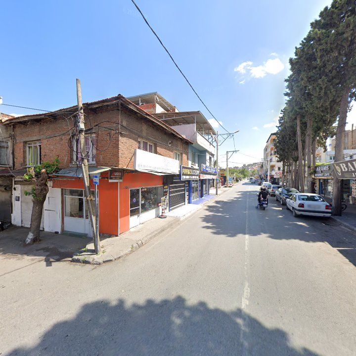 Fotoğraf 11