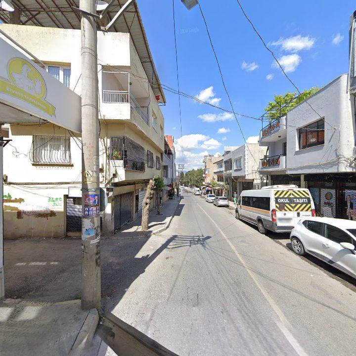 Fotoğraf 9